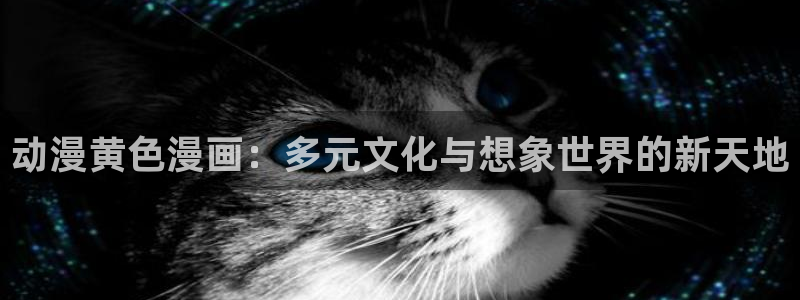 omofun电脑网页版