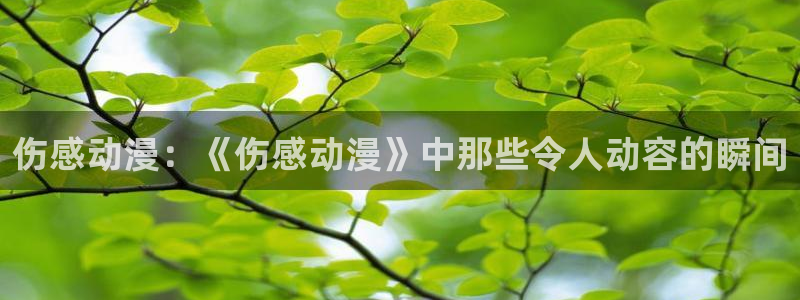 omofun动漫软件下载免费版
