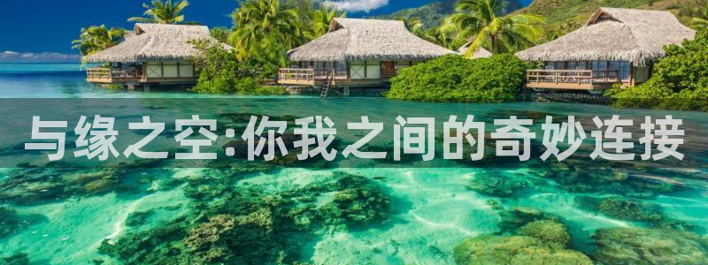 omofun最新