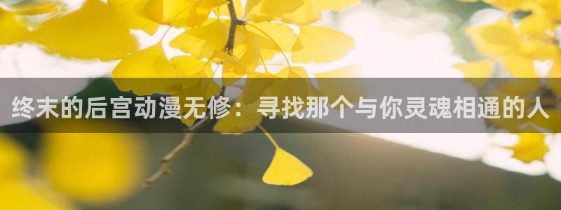 omofun动漫 官网