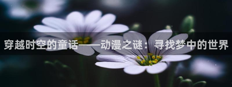omofun网页版入口处：穿越时空的童话——动漫之谜：寻找梦中的世界