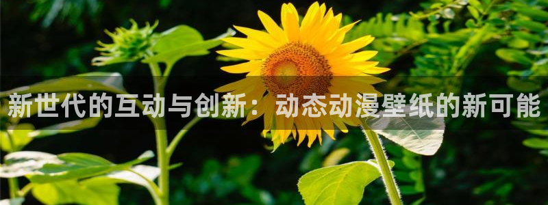 omofun动漫在线观看动漫最新版本更新：新世代的互动与创新：动态动漫壁纸的新可能