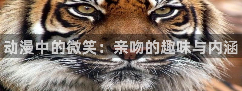 omofun官网入口苹果