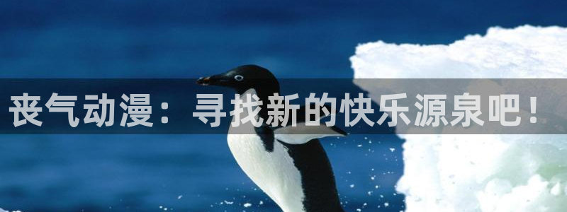 omofun网页入口版