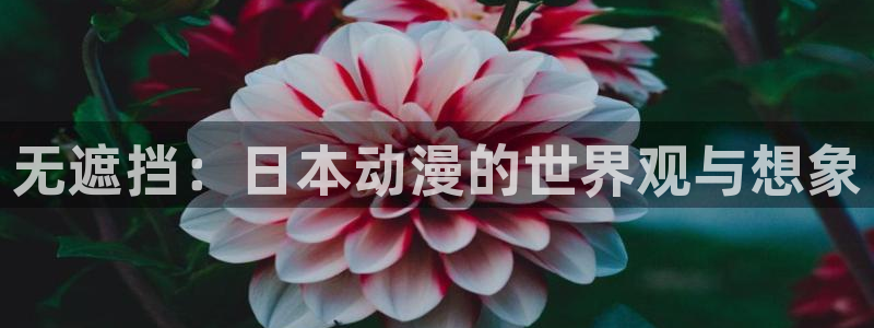 o站(omofun)官网
