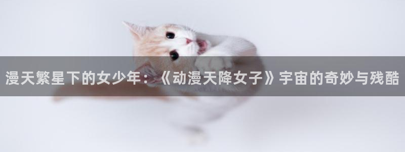 omofun网页版进入
