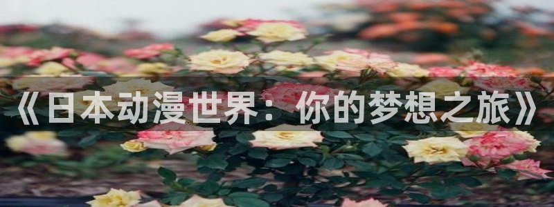 新版omofun下载