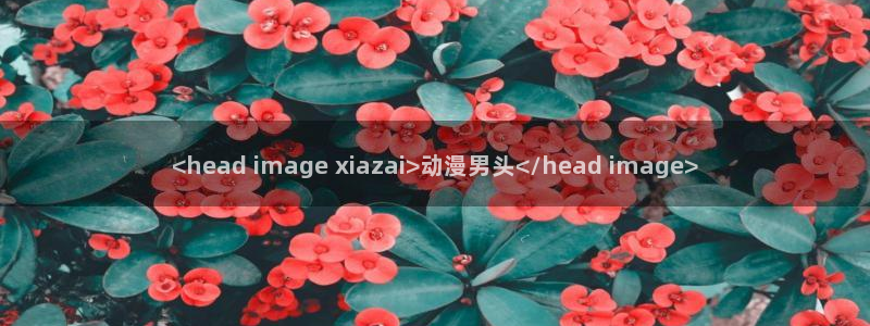 omofun官网正版