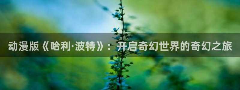 omofun纯净无广告版