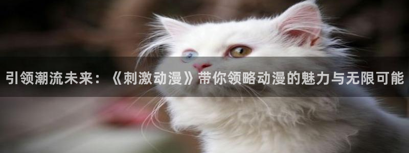 omofun网页入口
