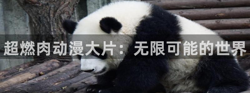 omofun官方版网页