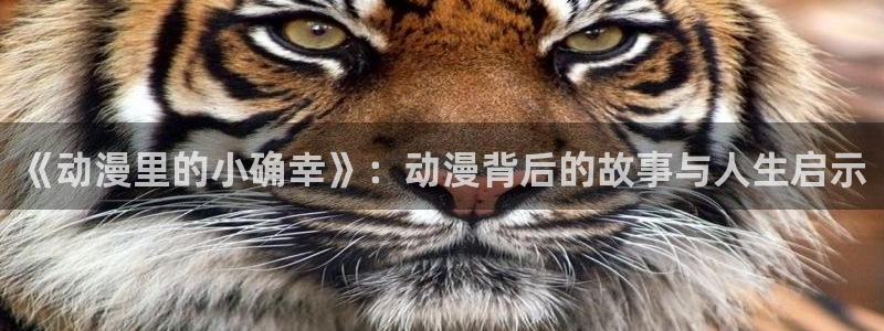 omofun轻量版