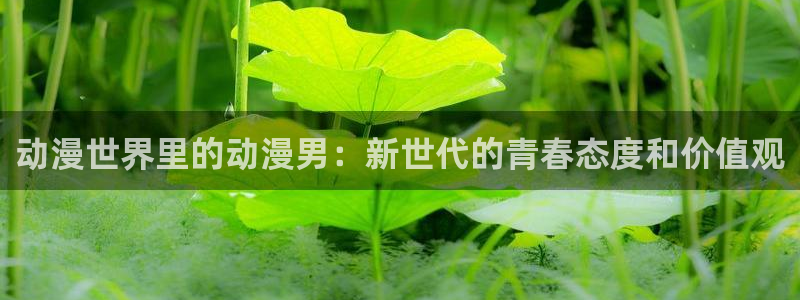 omofun网站网页版
