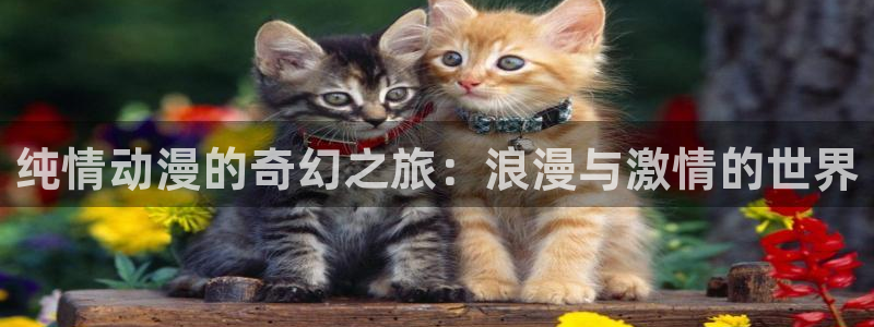 omofun动漫旧版本