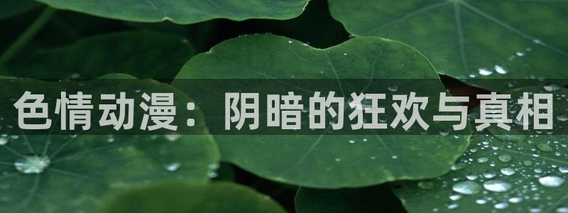 omofun网页版入口处