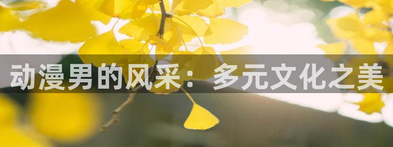 omofun动漫最新版本：动漫男的风采：多元文化之美