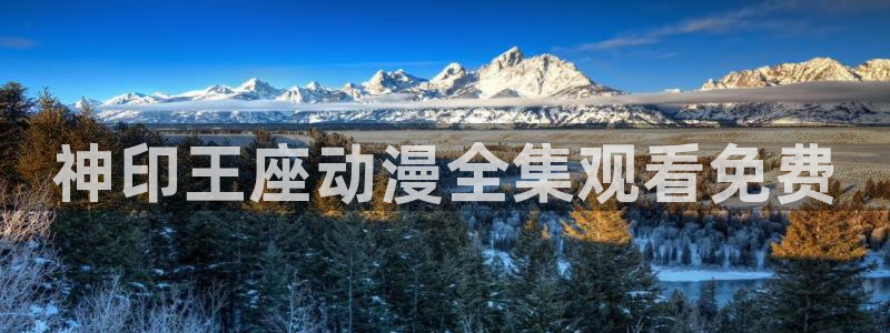 omofun动漫网：神印王座动漫全集观看免费