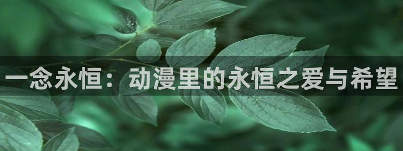 omofun官网在线：一念永恒：动漫里的永恒之爱与希望